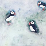 Cosy puffins